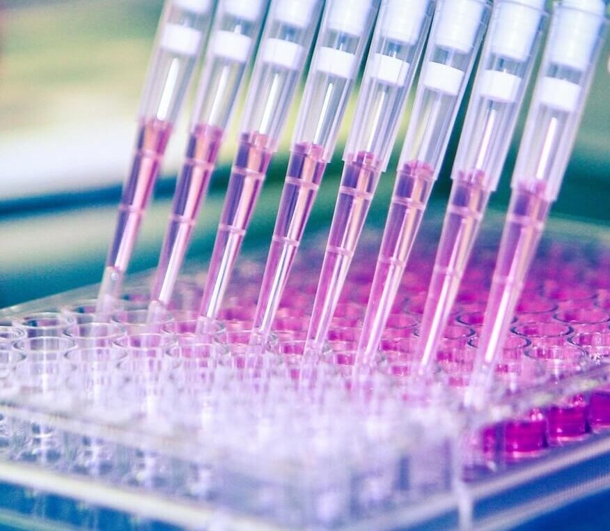 Plectonic Biotech - Pipeline